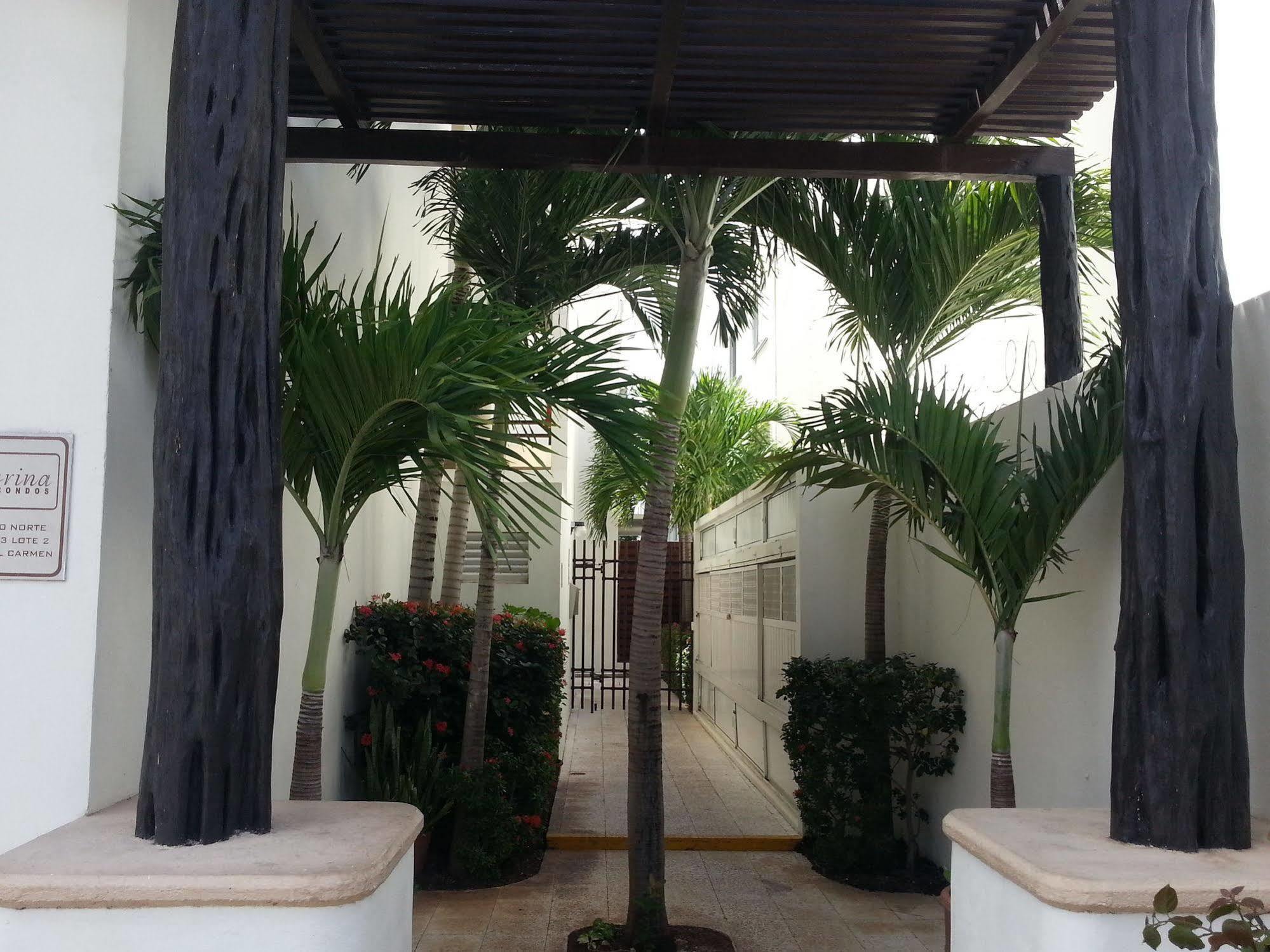 Vida Nueva Bed&Breakfast Peregrina Playa del Carmen Exteriér fotografie